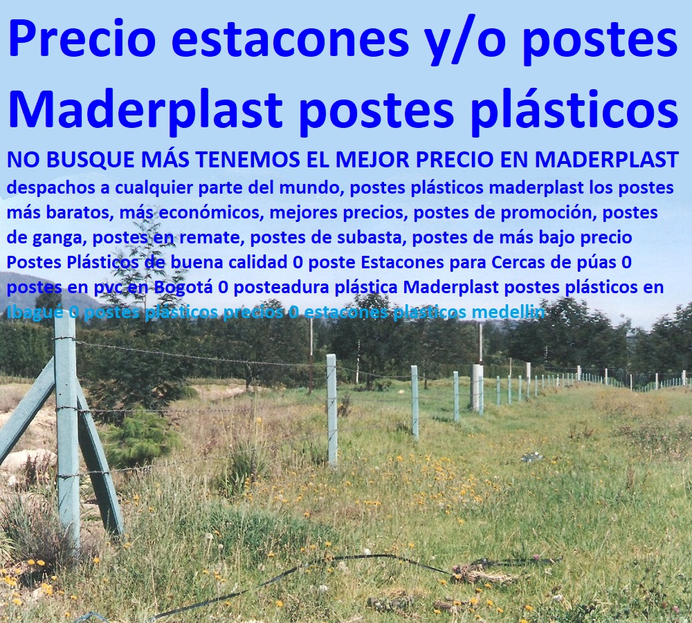Postes Plásticos de buena calidad 0 poste Estacones para Cercas de púas 0 postes en pvc en Bogotá 0 posteadura plástica Maderplast postes plásticos en Ibagué 0 postes plásticos precios 0 estacones plasticos medellin Postes Plásticos de buena calidad 0 poste Estacones para Cercas de púas 0 postes en pvc en Bogotá 0 posteadura plástica Maderplast postes plásticos en Ibagué 0 postes plásticos precios 0 estacones plásticos medellín 0 1 2 3 4 5 6 7 8 9 0 Postes Plásticos de buena calidad 0 poste Estacones para Cercas de púas 0 postes en pvc en Bogotá 0 posteadura plástica Maderplast postes plásticos en Ibagué 0 postes plásticos precios 0 estacones plásticos medellín